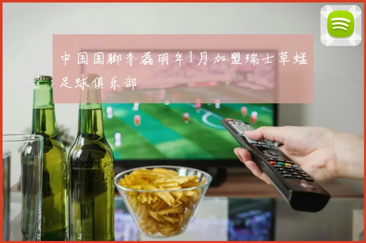 中国国脚李磊明年1月加盟瑞士草蜢足球俱乐部
