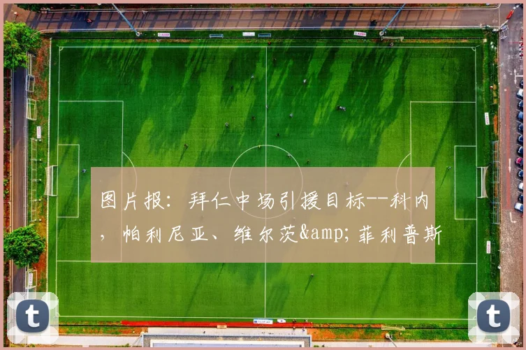 图片报：拜仁中场引援目标--科内，帕利尼亚、维尔茨&菲利普斯