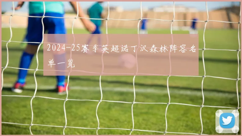 2024-25赛季英超诺丁汉森林阵容名单一览