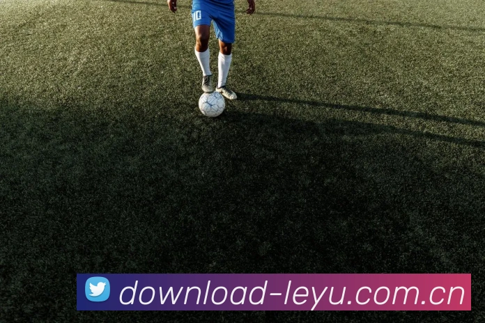 乐鱼体育平台生态图