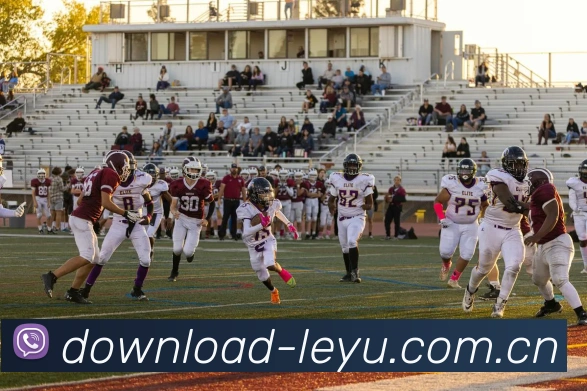 乐鱼体育APP 封面图